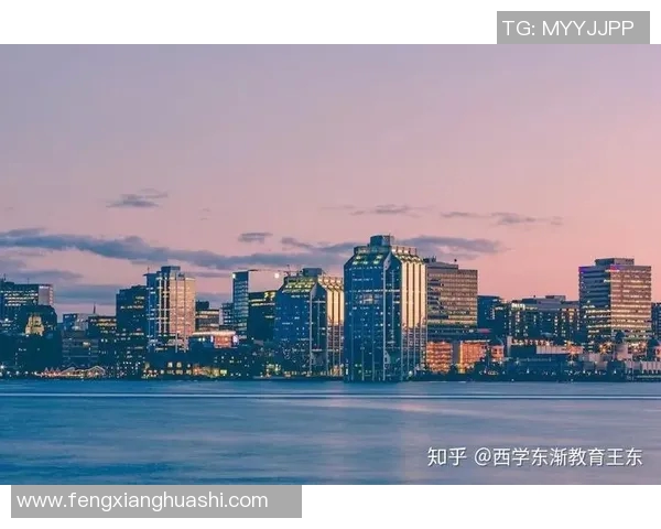 深度对话陈伟排球人生的奋斗与梦想探索之旅